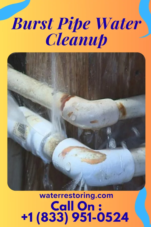Burst Pipe Water Cleanup in St. Stephens, NC